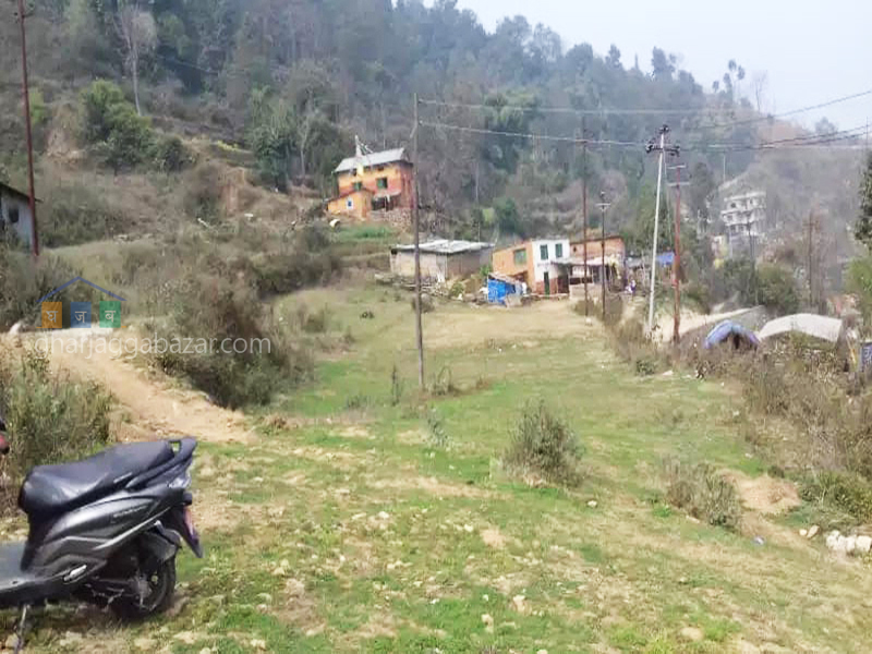 Land for Plotting at Kirtipur Machhegaun