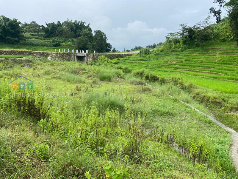 Land on Sale at Changunarayan