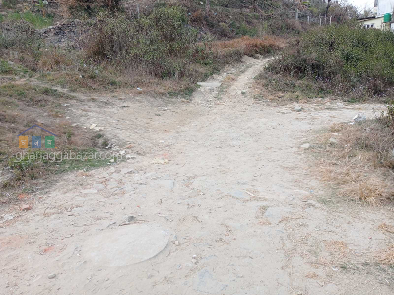 Land on Sale at Dharmasthali Mahankal