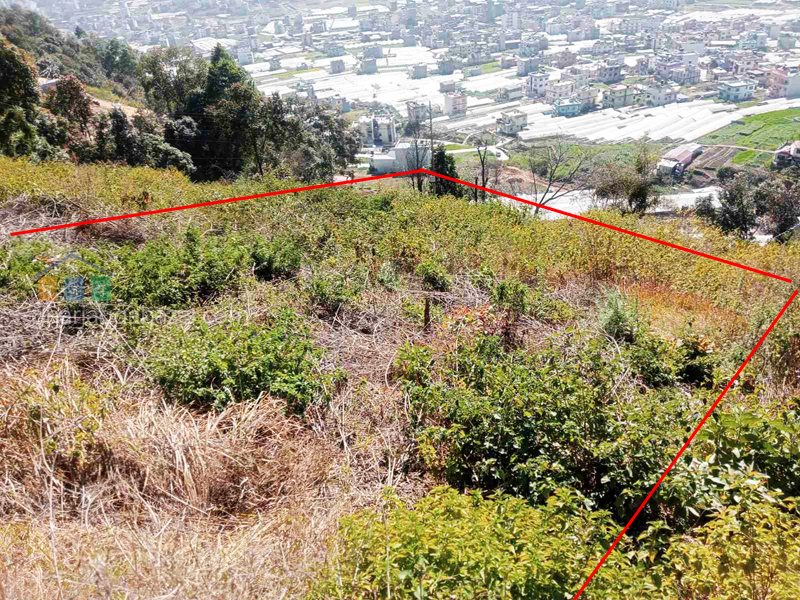 Planning Land on Sale at Dahachowk