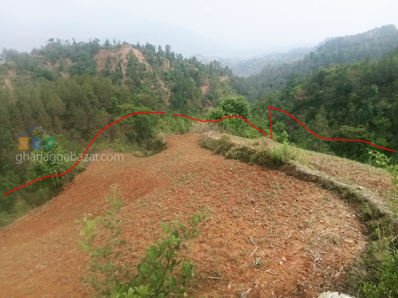 Land on Sale at Chhampi