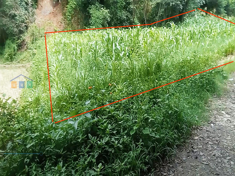 Land on Sale at Chapagaun