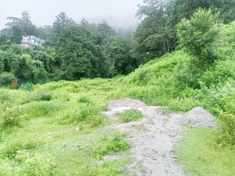 Land on Sale at Narayanthan Bisnumati