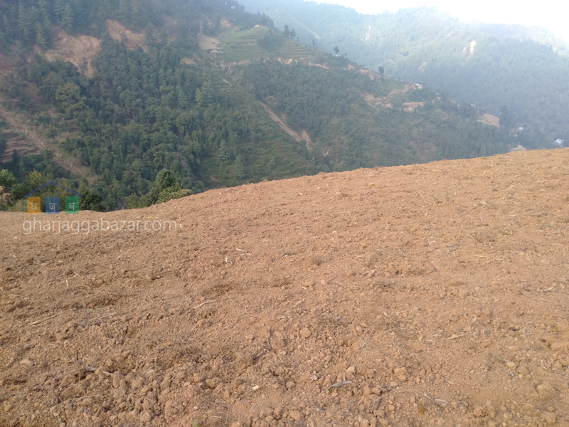 Land on Sale at Chhampi Devi Chaur