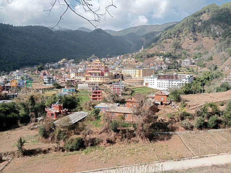Planning Land on Sale at Dallu Seshanaryan
