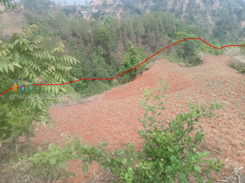 Land on Sale at Chhampi