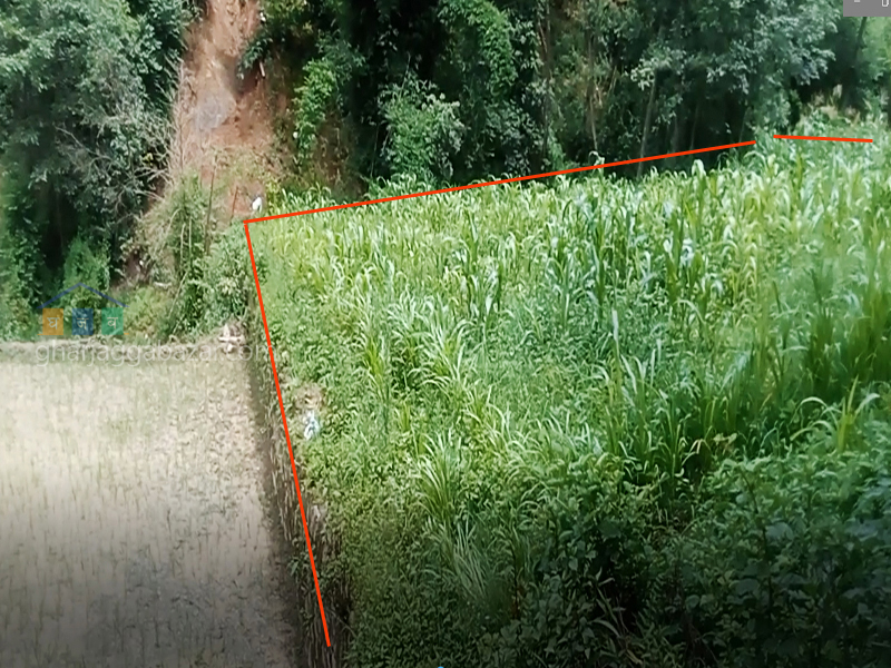 Land on Sale at Chapagaun
