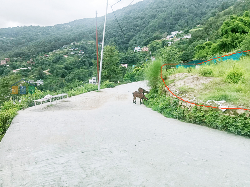 Land on Sale at Narayanthan Height