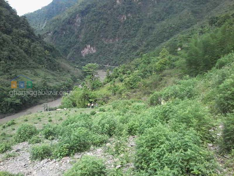 Urban Land on Sale at Mugling