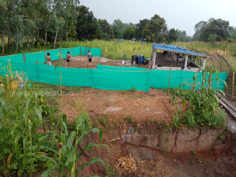 Land for Farming at Dhanusadham