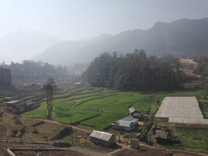 House on Rent at Godawari