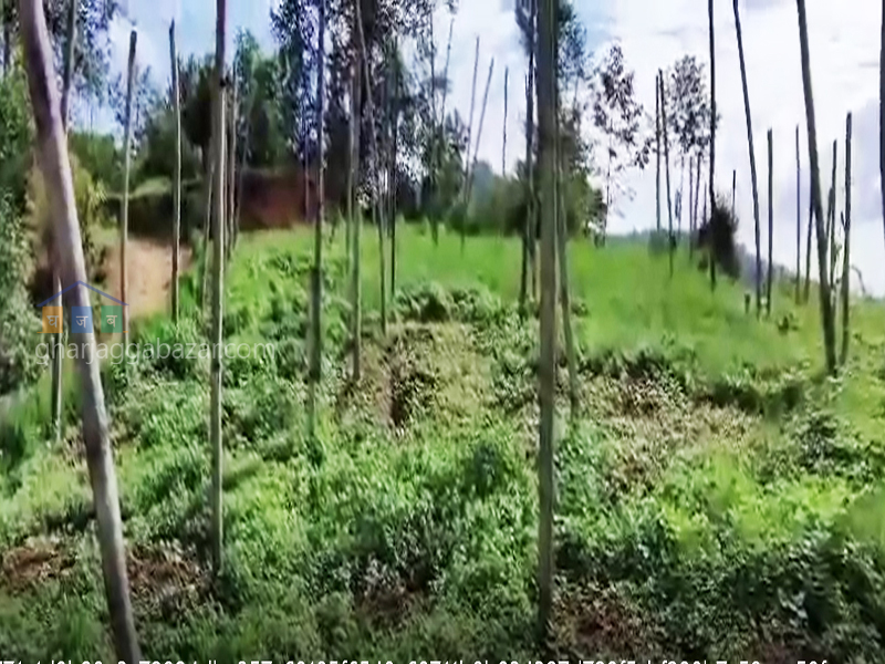 Land on Sale at Ryale Manedovan