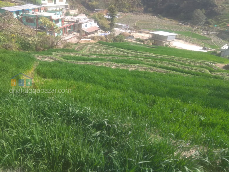 Land on Sale at Sankhu