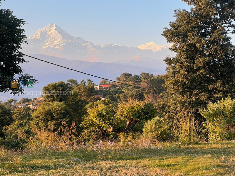Land on Sale at  Pokahara Kalikathan
