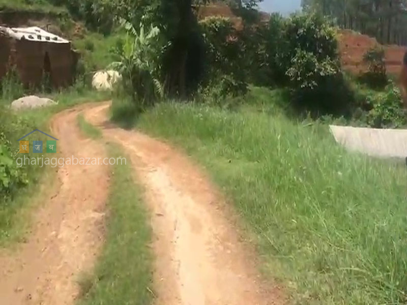 Land for Agriculture at Kholegaun Serabagar