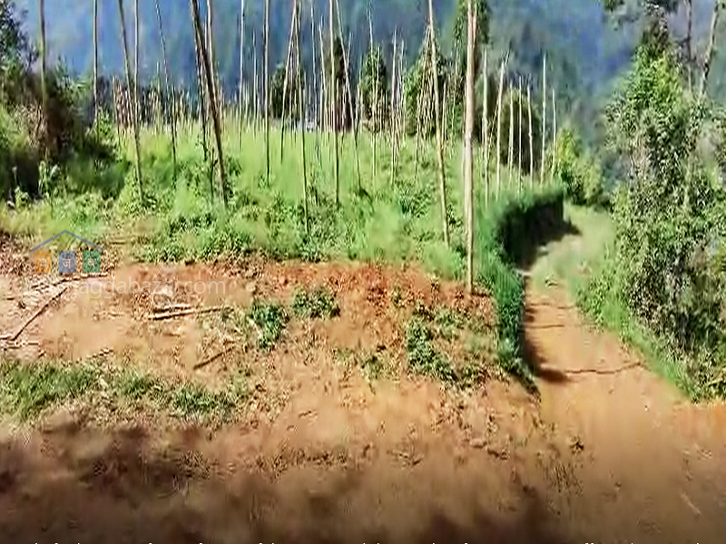 Land on Sale at Ryale Manedovan