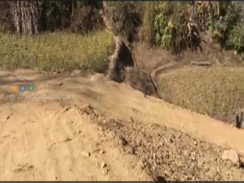 Land on Sale at Lele