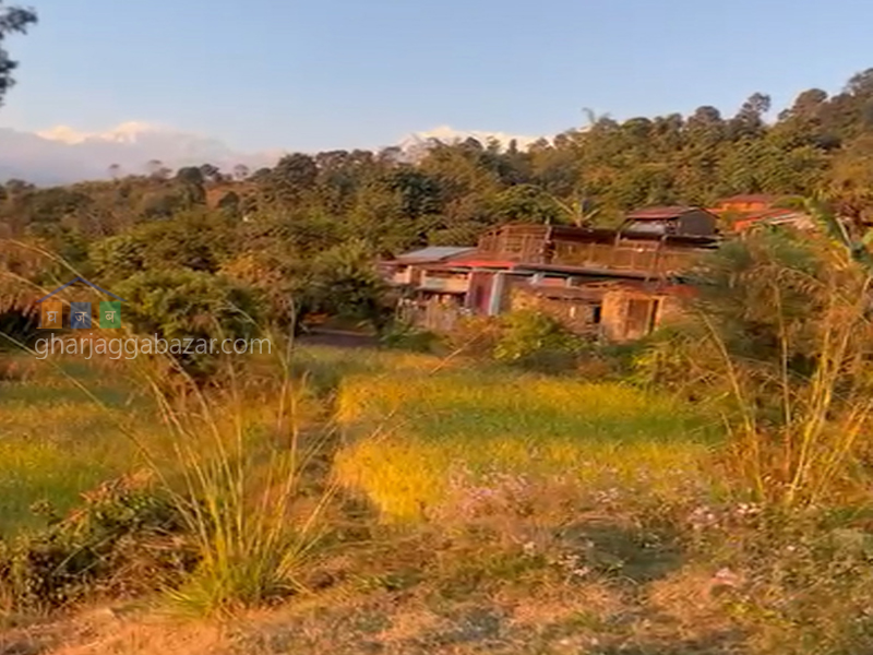 Land on Sale at  Pokahara Kalikathan