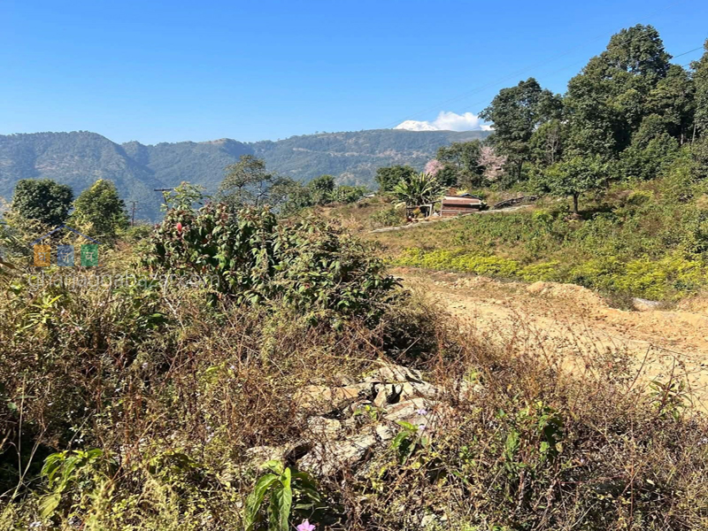 Land on Sale at Pokhara Begnastal