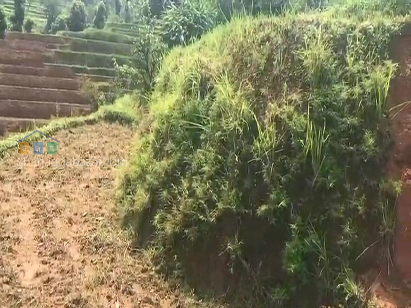 Land for Agriculture at Kholegaun Serabagar