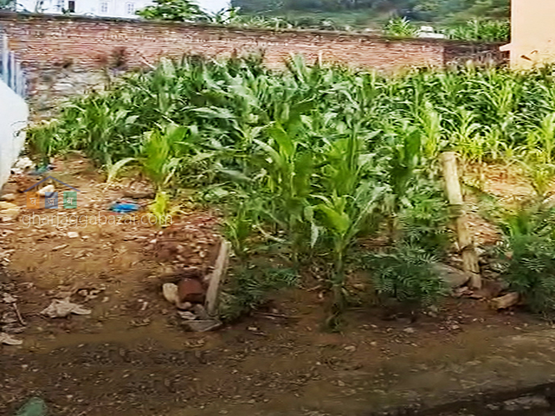 Planning Land on Sale at Kirtipur Vatkepati