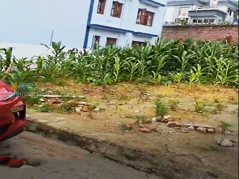 Planning Land on Sale at Kirtipur Vatkepati