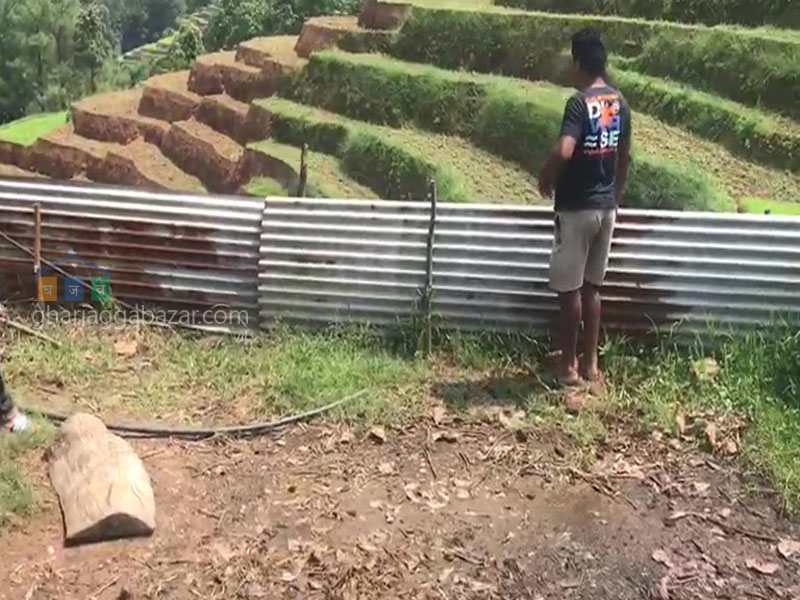 Land for Agriculture at Kholegaun Serabagar