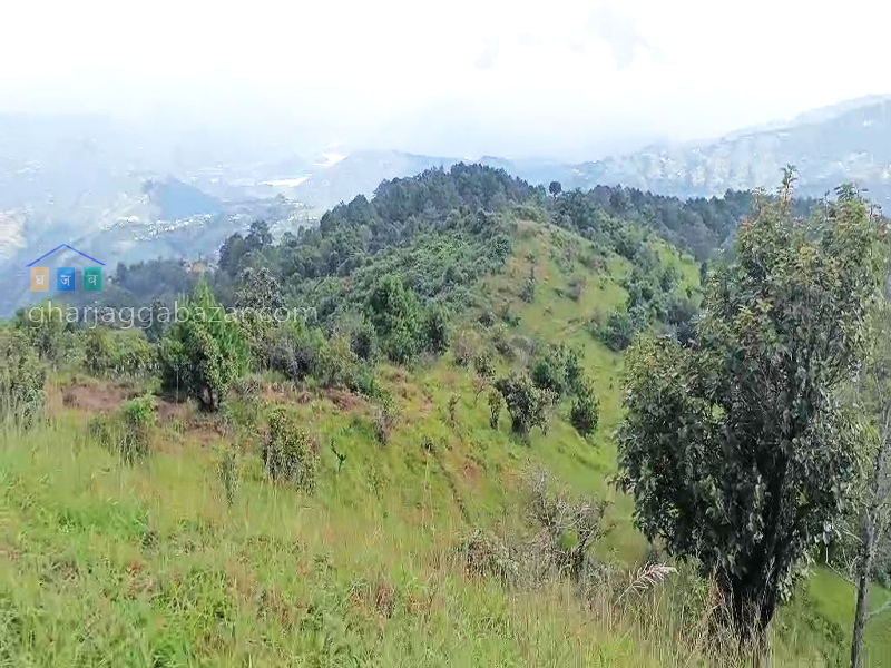 Land on Sale at Lapsiphedi
