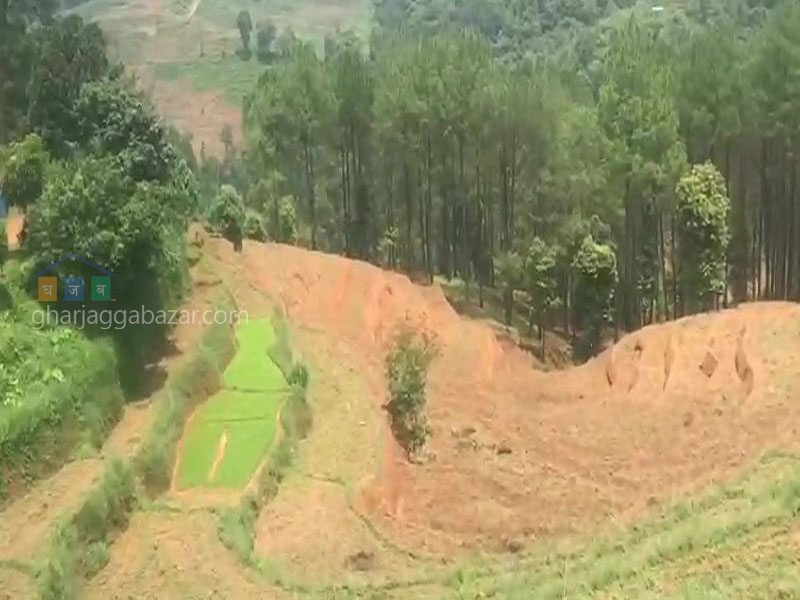 Land for Agriculture at Kholegaun Serabagar