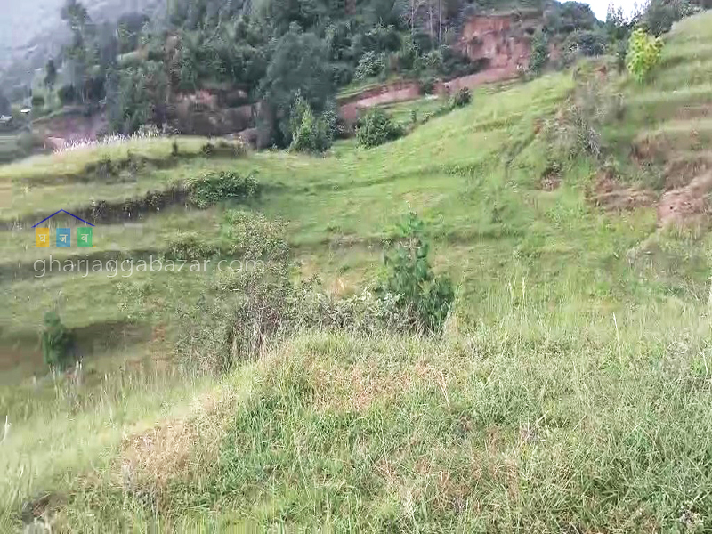 Land on Sale at Lapsiphedi