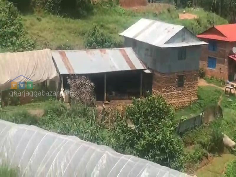 Land for Agriculture at Kholegaun Serabagar