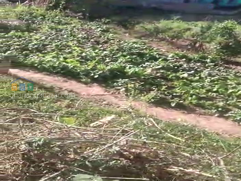 Land on Sale at Jharankhu