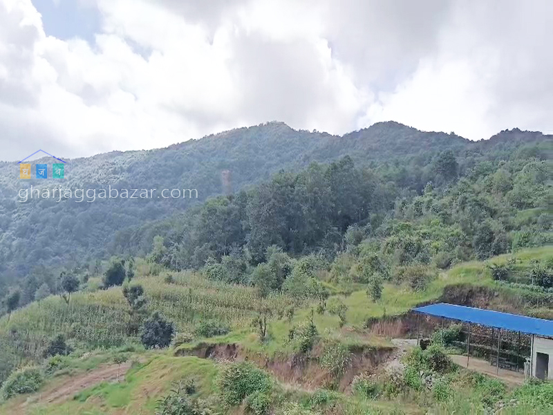Land on Sale at Lapsiphedi