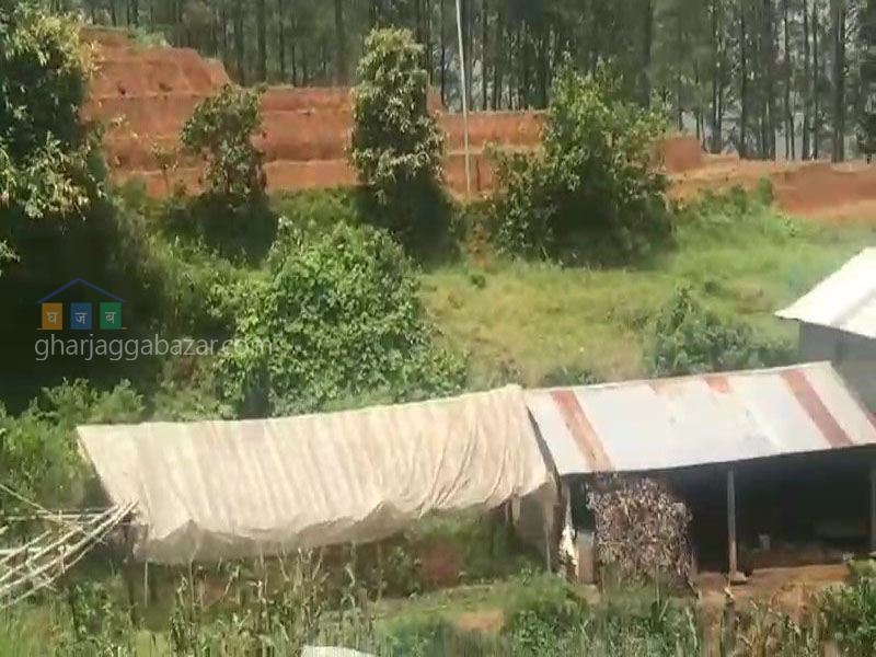 Land for Agriculture at Kholegaun Serabagar