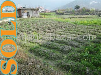 Land on Sale at Chapali