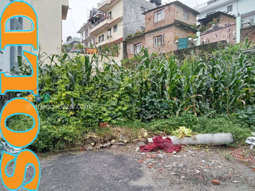 Land on Sale at Dhapasi