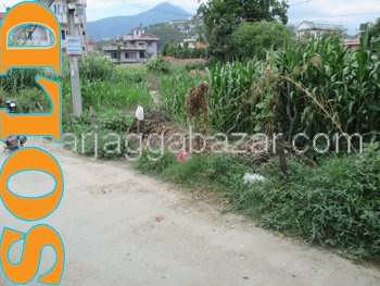 Land on Sale at Bagdol