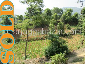 Land on Sale at Chapagaun