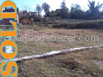 Land on Sale at Pasikot
