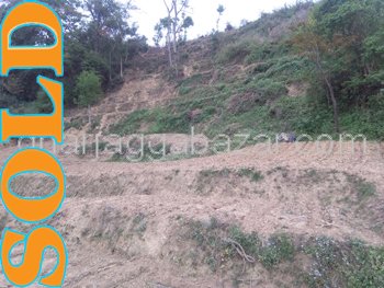 Land on Sale at Chapagaun
