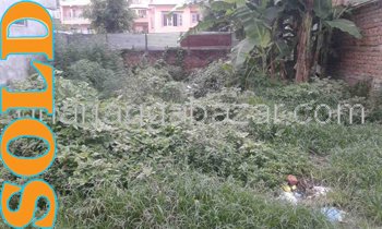 Land on Sale at Shantinagar