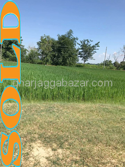 Residential Land on Sale at Butwal