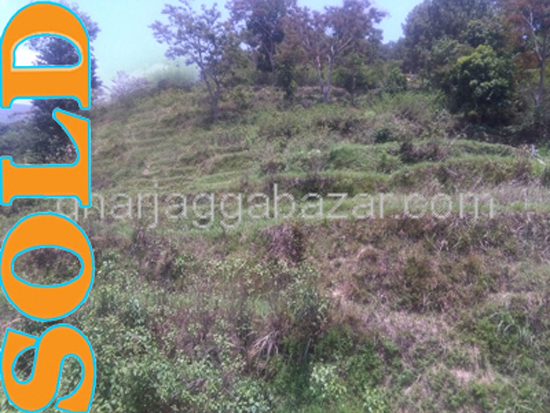 Land on Sale at Narayanthan 