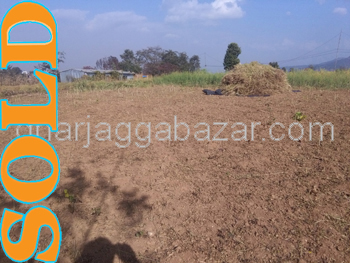 Land on Sale at Thecho