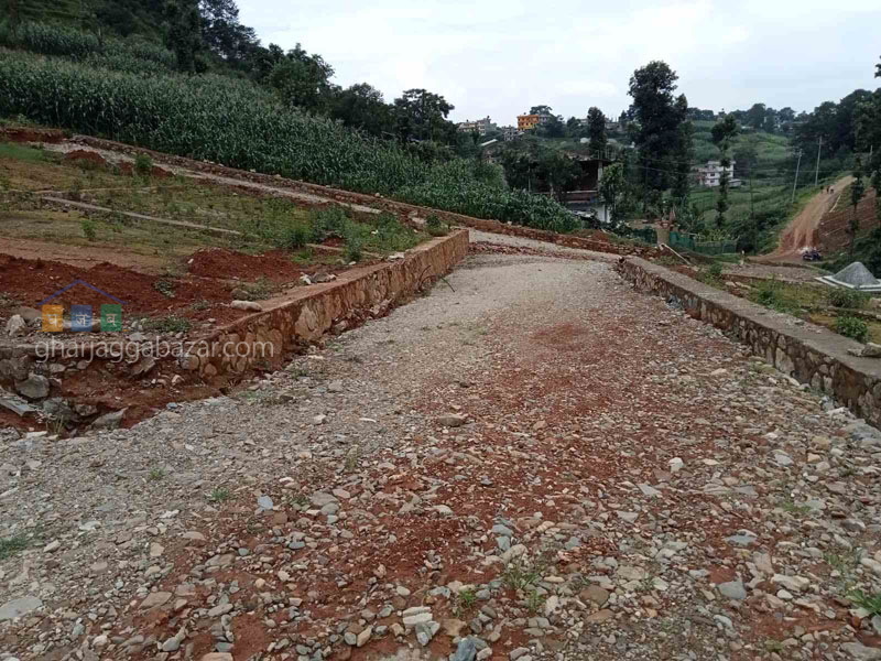 Planning Land on Sale at Chapagaun Muldol 