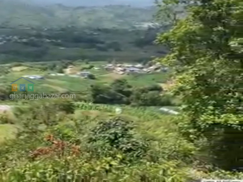 Land for Hotel Resort on Sale at Lapsiphedi 