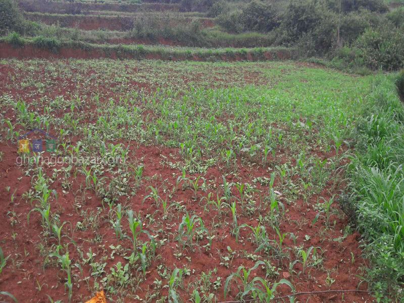 Land on Sale at Panchkhal