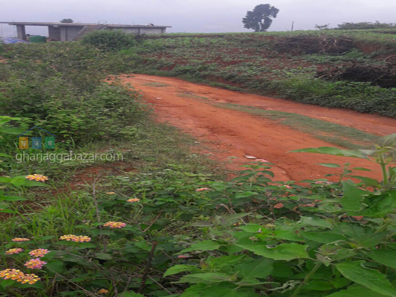 Land on Sale at Panchkhal