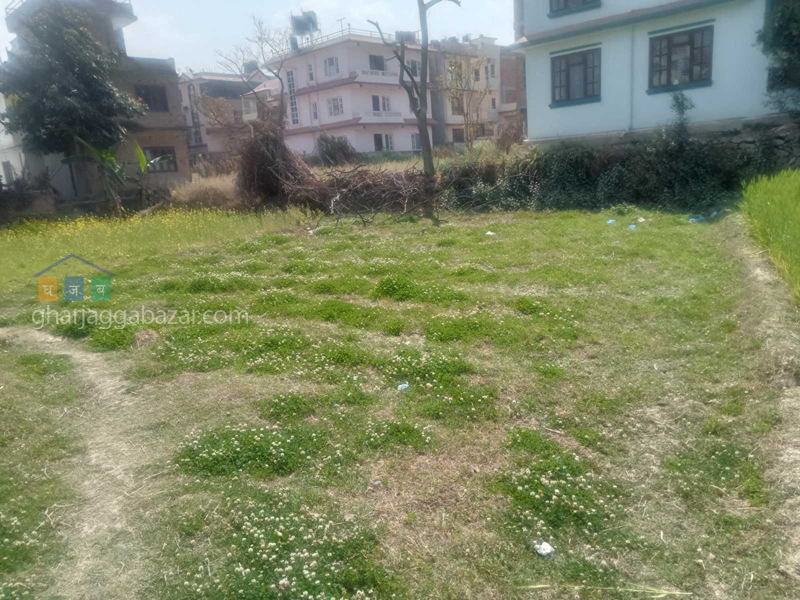 Land on Sale at Dhapakhel