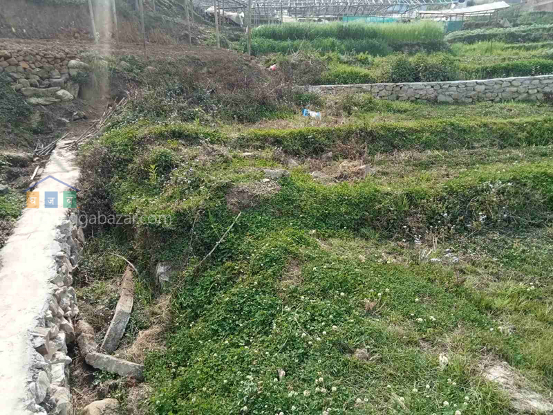 Land on Sale at Goldhunga